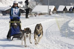 Lenk 2012 SM